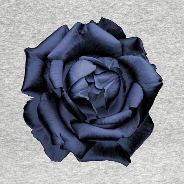 Blue Charcoal Rose by nautilusmisc